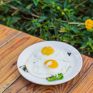 SIDE 2 EGGS